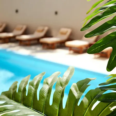 Lotus Rise - Adults Only 4* הרסוניסוס