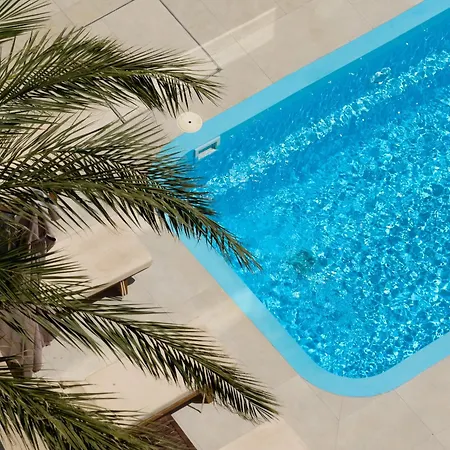 Lotus Rise - Adults Only